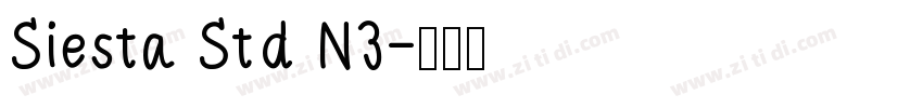 Siesta Std N3字体转换